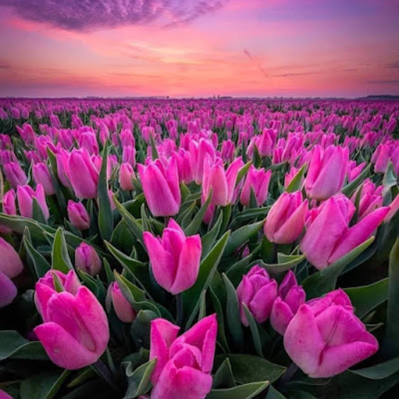 Meet your Posher, Kathy - Picture 1 of 1